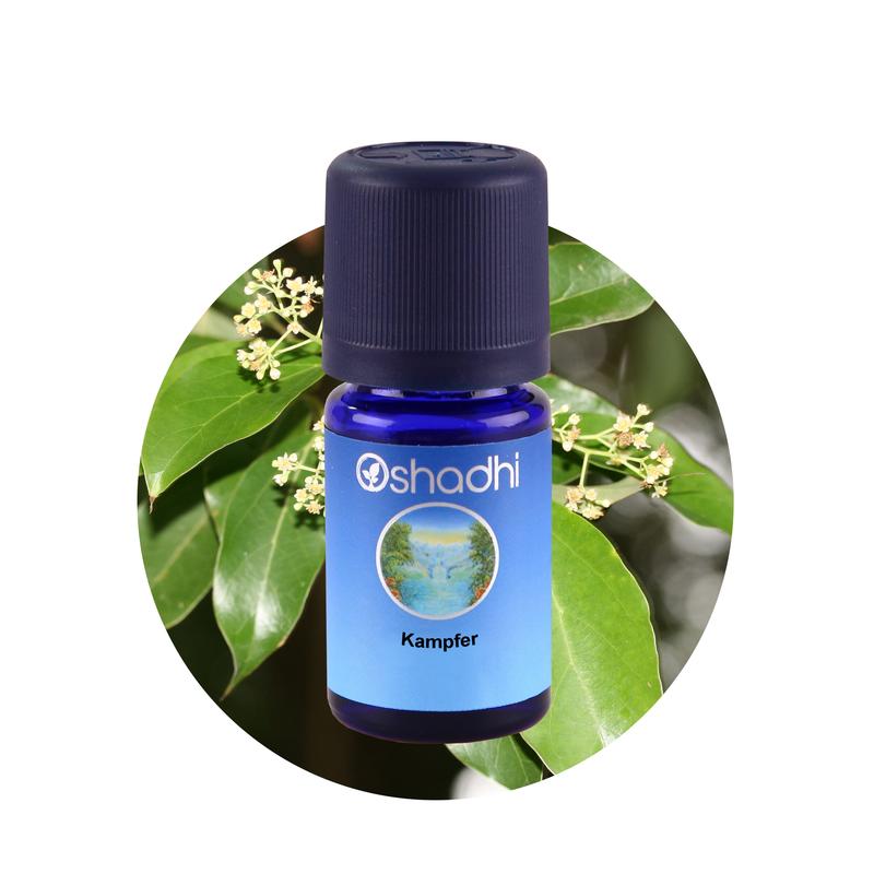 Kamfor 10 ml - Oshadhi